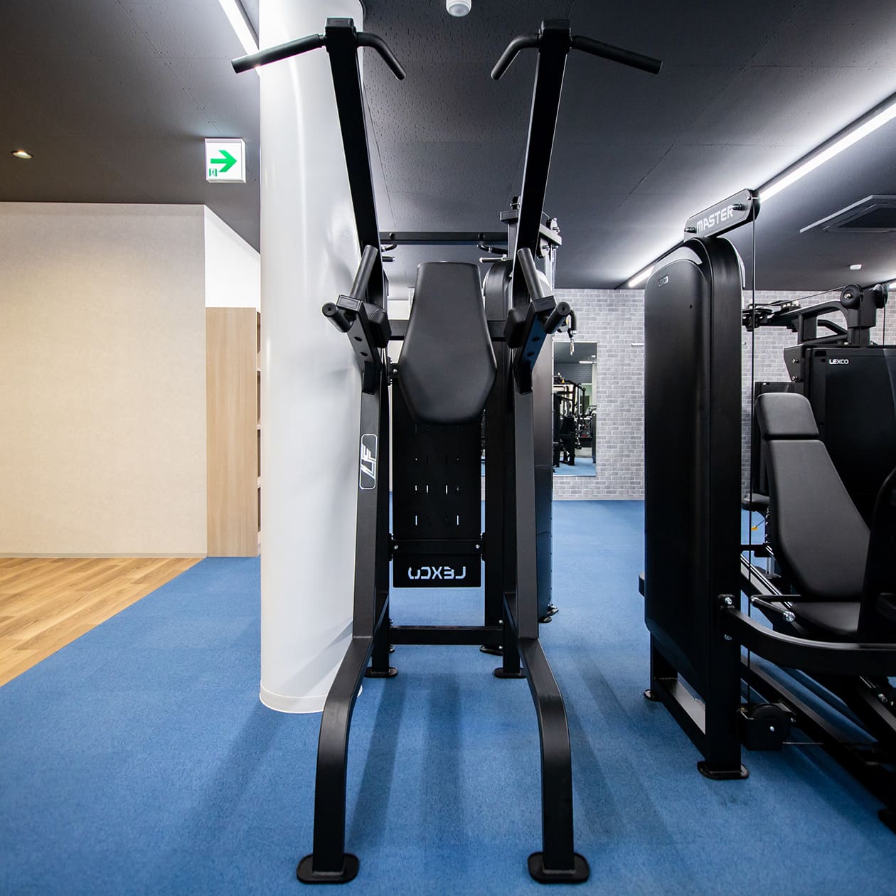 チン/ディップ/レッグレイズ