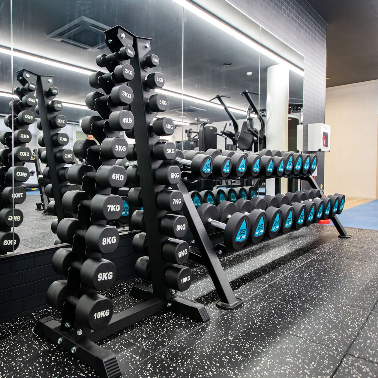 ダンベルラック＆ダンベル