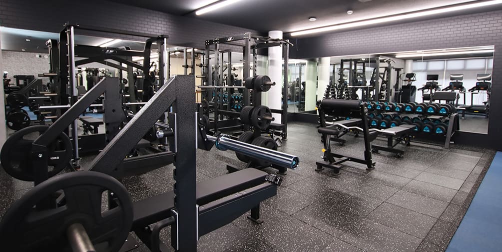 フリーウエイトも充実